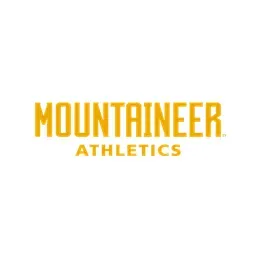 WVU Jerseys Pro's icon
