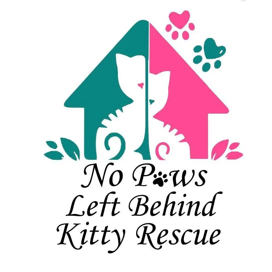 Foster Care Volunteer Opportunity Image