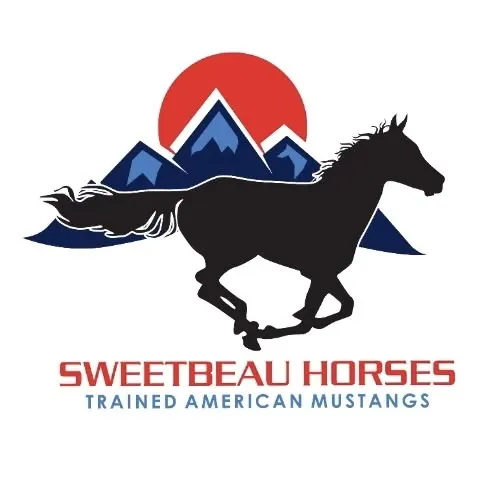 Mustang Care Volunteer Opportunity Image
