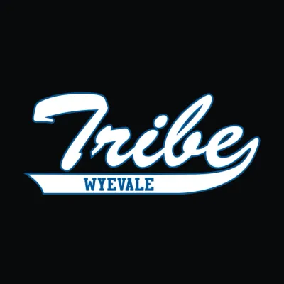 wyevaleminorsoftball.com's icon