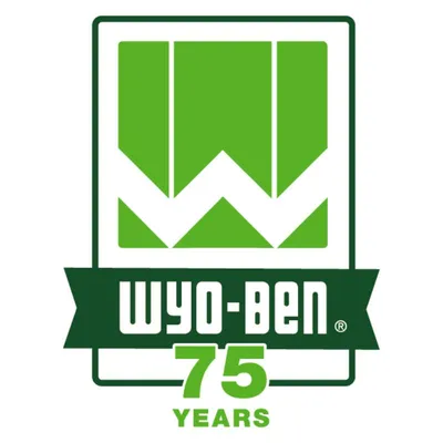 wyoben.com's icon