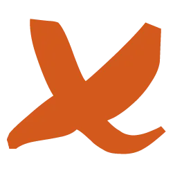 x-site.nl's icon