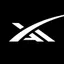 xAI's icon