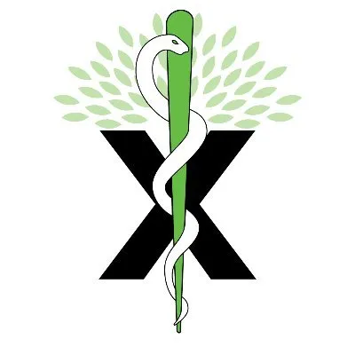 x3si.com's icon