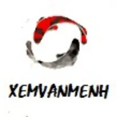 xemvanmenh.net's icon