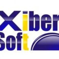 xibersoft.com's icon