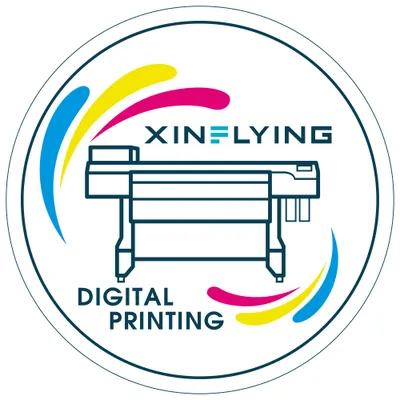 xinflyinggroup.com's icon