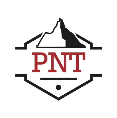 xn--peanegratextil-rnb.com's icon