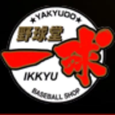 yakyudo-ikkyu.com's icon