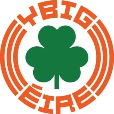 ybig.ie's icon