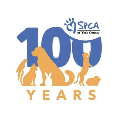 ycspca.org's icon