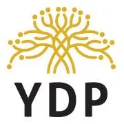 ydp.no's icon