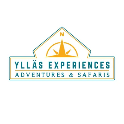 yllasexperiences.com's icon