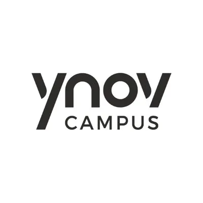 ynov-bordeaux.com's icon