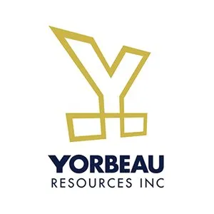 yorbeauresources.com's icon