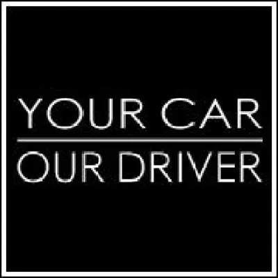 yourcarourdriverrise.net's icon