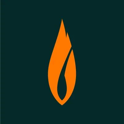 yoursecuritydepartment.com's icon