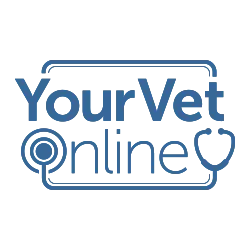 yourvetonline.com's icon