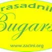 zacini.org's icon