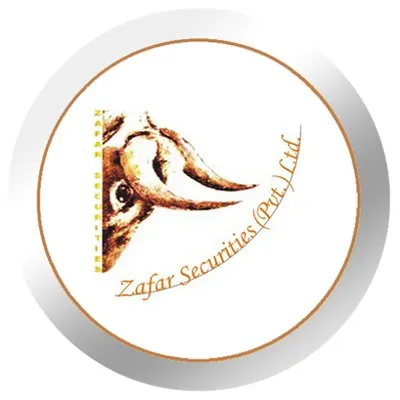 zafarstocks.com's icon