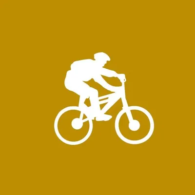 zahnkranz.com's icon