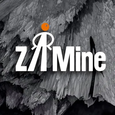 zamineperu.com's icon