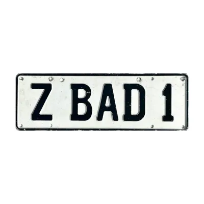 ZBAD1's icon