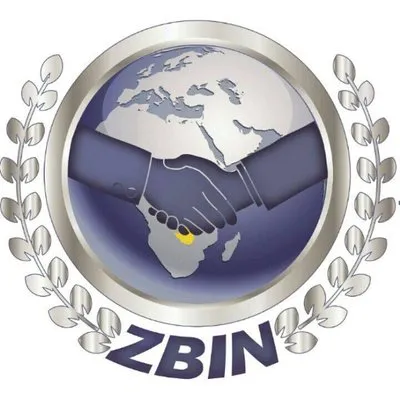 zbinworld.com's icon