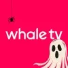 zeasn.tv's icon