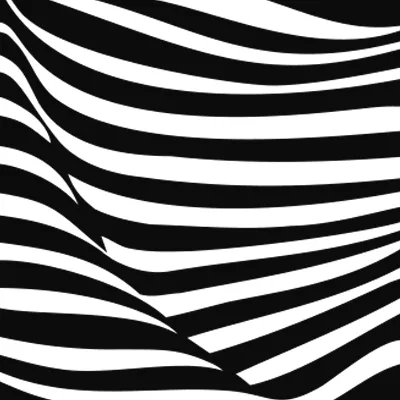 zebra black GmbH