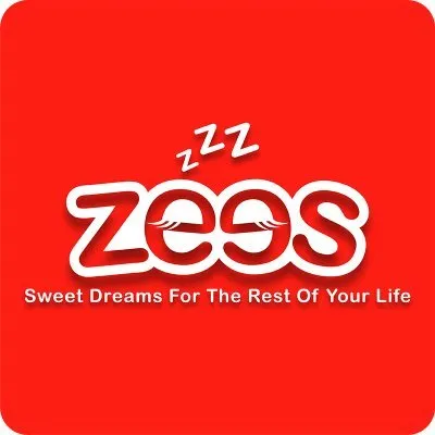 zeesindo.com's icon
