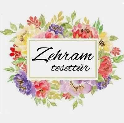 zehramtesettur.com's icon