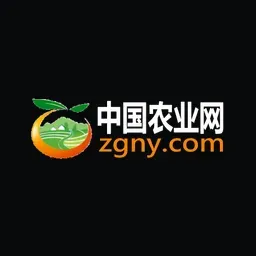 zgny.com's icon