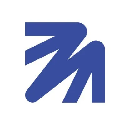 zintilon.com's icon