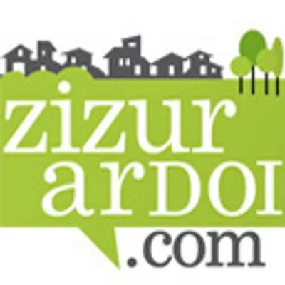 zizurardoi.com's icon