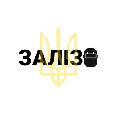 zlz.com.ua's icon