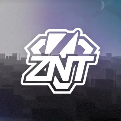 znt.gg's icon
