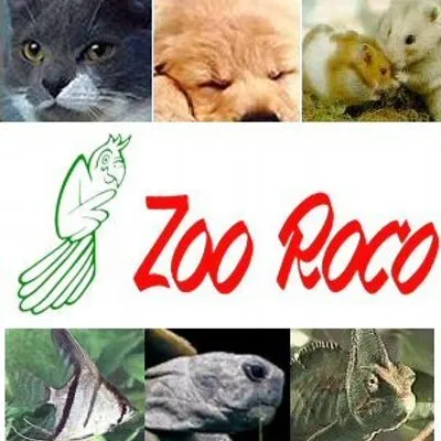 zoo-roco.ch's icon