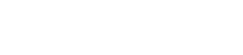 Zoom logo