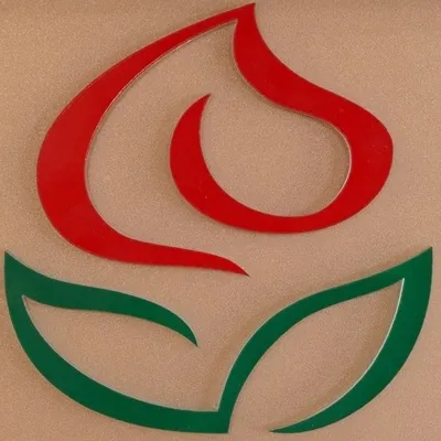 zsohar.hu's icon