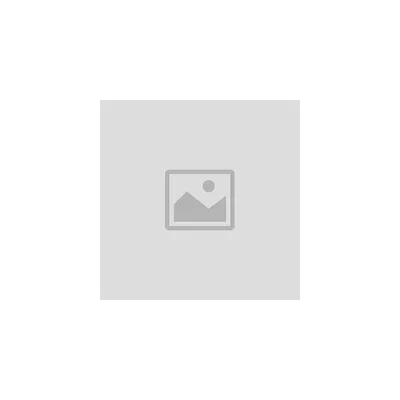 ZWEIZEN's icon