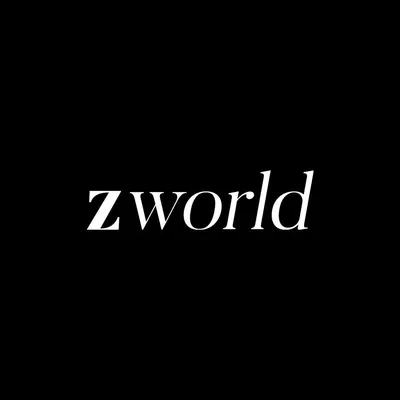 zworldholding.com's icon