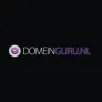 Logo Domeinguru