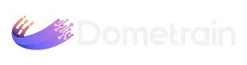 Dometrain light logo