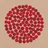Donatos Pizza logo