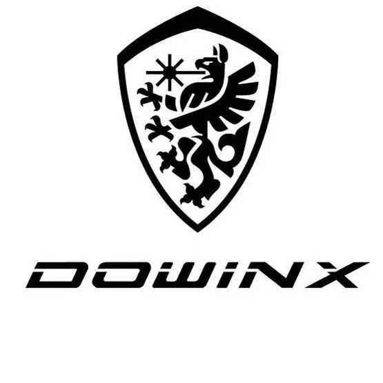 Dowinx