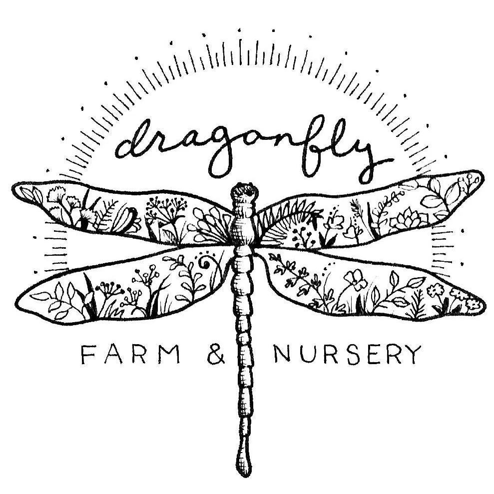 Dragonflyfarmlanglois