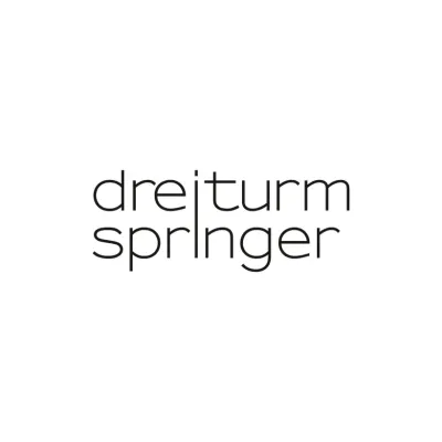 Dreiturmspringer GmbH logo