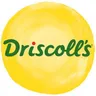 Driscolls  logo