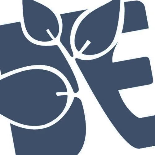 Dronninglund Efterskole logo